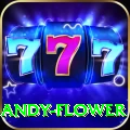 andy flower Master v4.2.3
