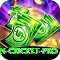 australian cricket Games Pro