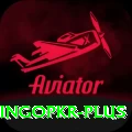 bingopkr Pro Max v2.9.2