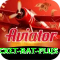 cricket bat - Slots Gold