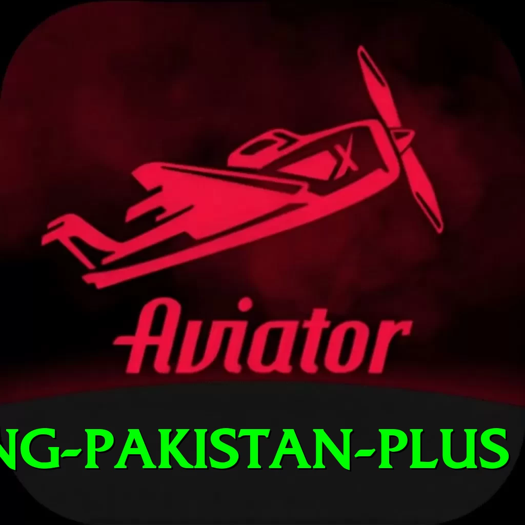 Cricket Betting Pakistan Master Casino App - 2