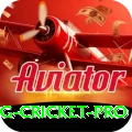 eng cricket Premium APK v5.7.3