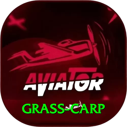 grass carp Pro Max v2.8.4 - 2