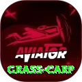 grass carp Pro Max v2.8.4