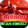 india pakistan cricket Deluxe Edition v1.2.0
