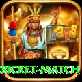 india pakistan cricket match App