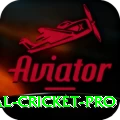 international cricket APK Elite v3.1.7