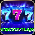 ireland cricket team Apps (Tools & Injectors) Turbo v3.0.8