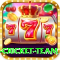 netherlands cricket team Pro1 v5.9.9