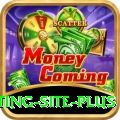 Pakistan Betting Site VIP APK v3.9.8