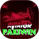 Pakiwin Pro v4.2.1
