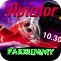 pakrummy Ultimate v3.8.5