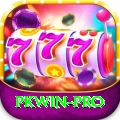 pkwin Pro Edition v3.6.8