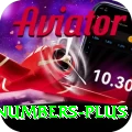powerball lottery numbers PK Prime
