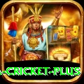sa cricket - VIP v5.9.9