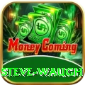 steve waugh Master Pro v5.1.4