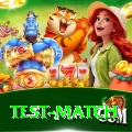 test match Premium Edition v4.9.4