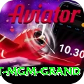 the signature at mgm grand Plus Edition v1.1.6