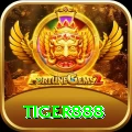 tiger888 Premium v3.3.8