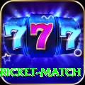 to day cricket match Deluxe Pro v1.7.9