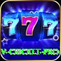 v cricket Game Premium v3.4.6