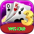 wc t20 Plus v4.1.8