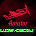 willow cricket Elite Pro v5.4.4