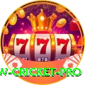 willow cricket Bonus Max v4.9.9